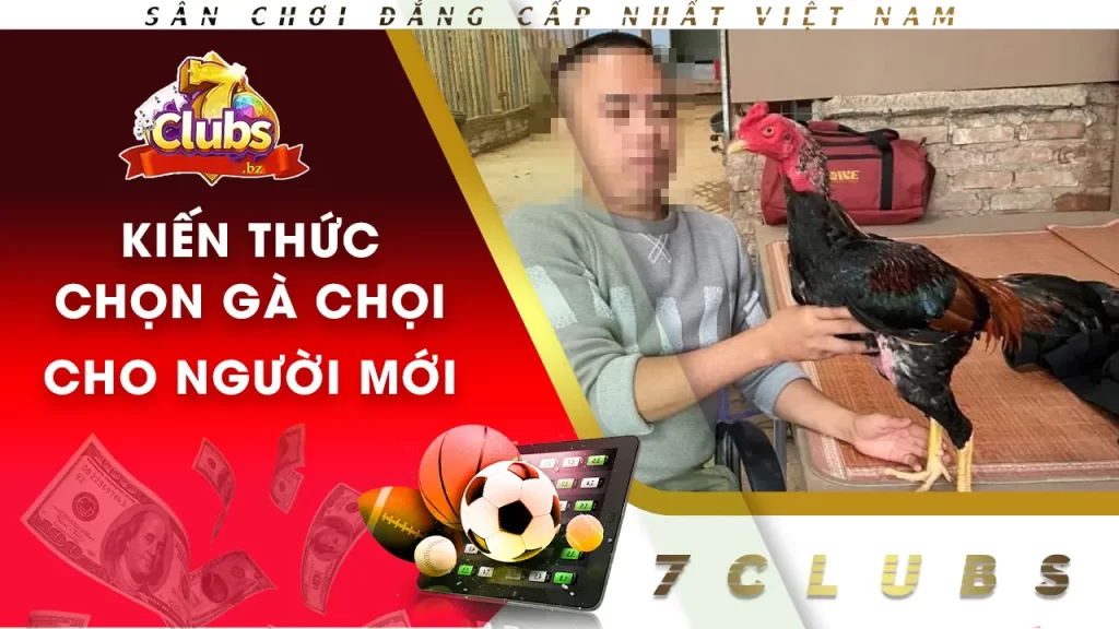 kiến thức chọn gà chọi