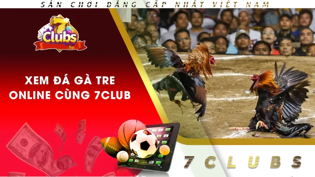 xem đá gà tre 7club