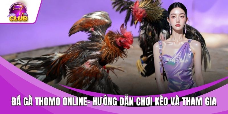 Đá Gà Thomo Online