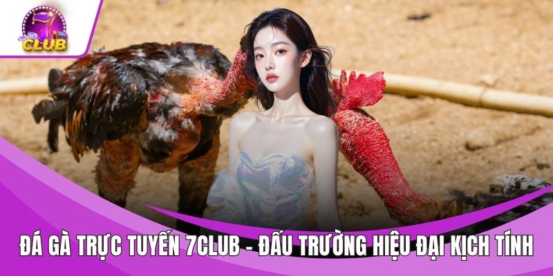 Đá Gà Trực Tuyến 7CLUB