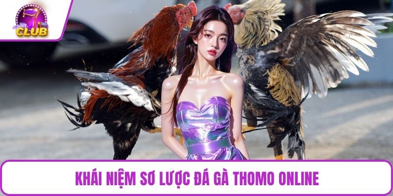 Khái niệm sơ lược đá gà Thomo online