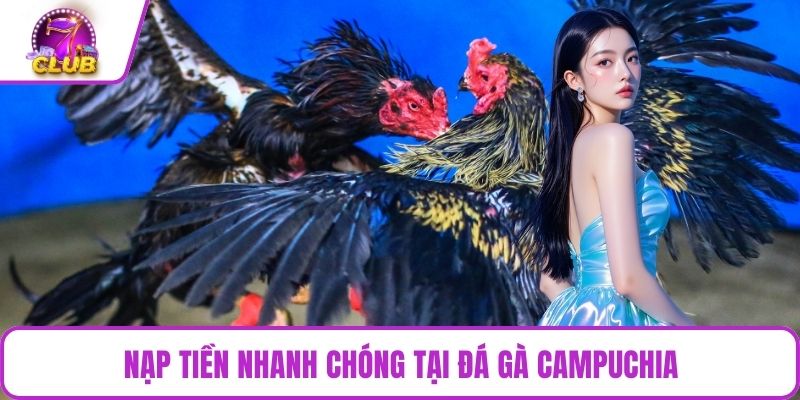 Nạp tiền nhanh chóng tại đá gà Campuchia