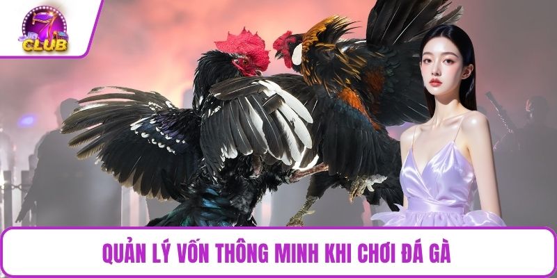Quản lý vốn thông minh khi chơi đá gà
